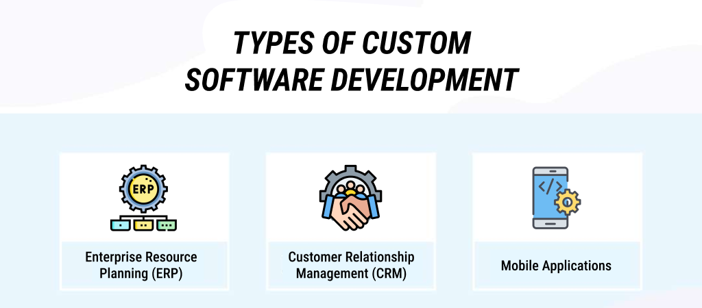 types of custom software